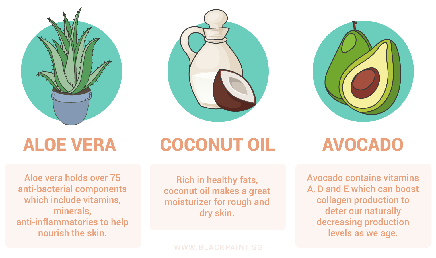 illustration of natural ingredients to treat skin aging problems