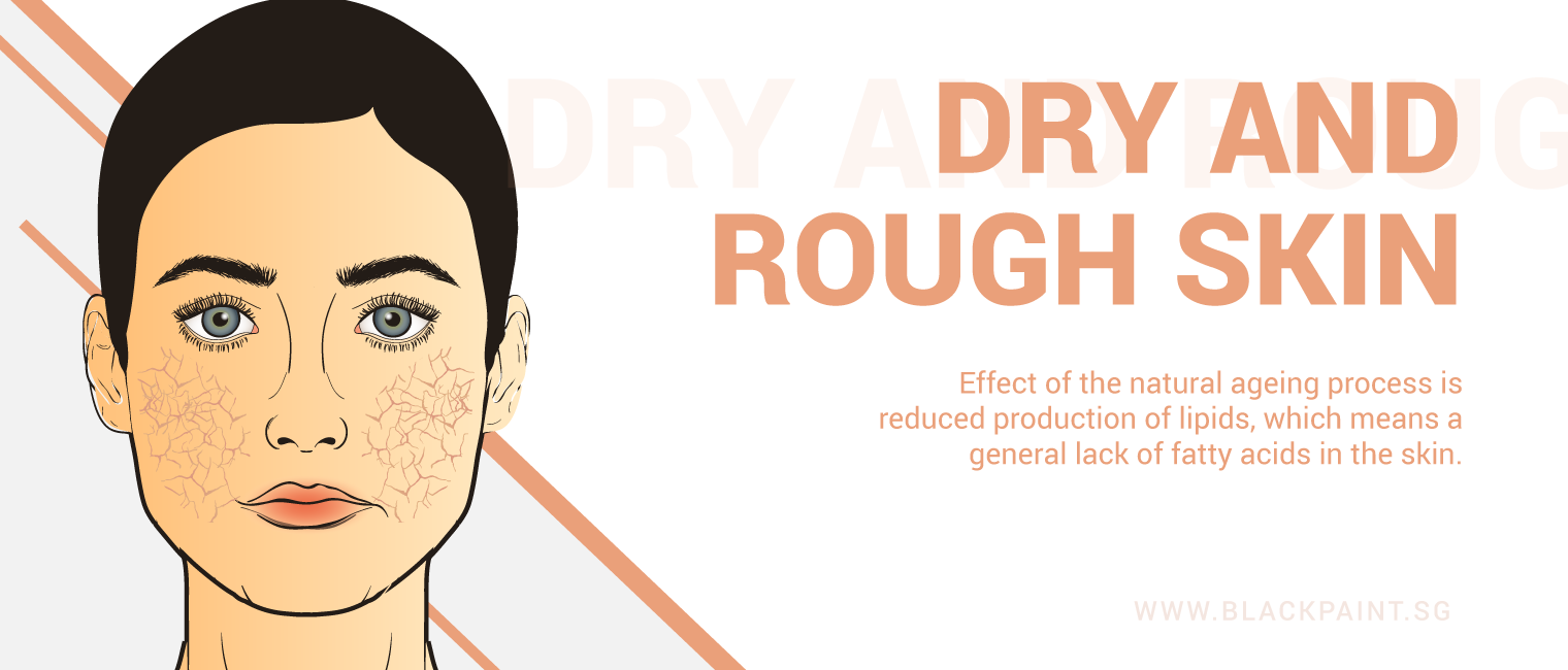 illustration of dry & rough skin is a natural effect of aging, due to the lack of fatty acids in your skin