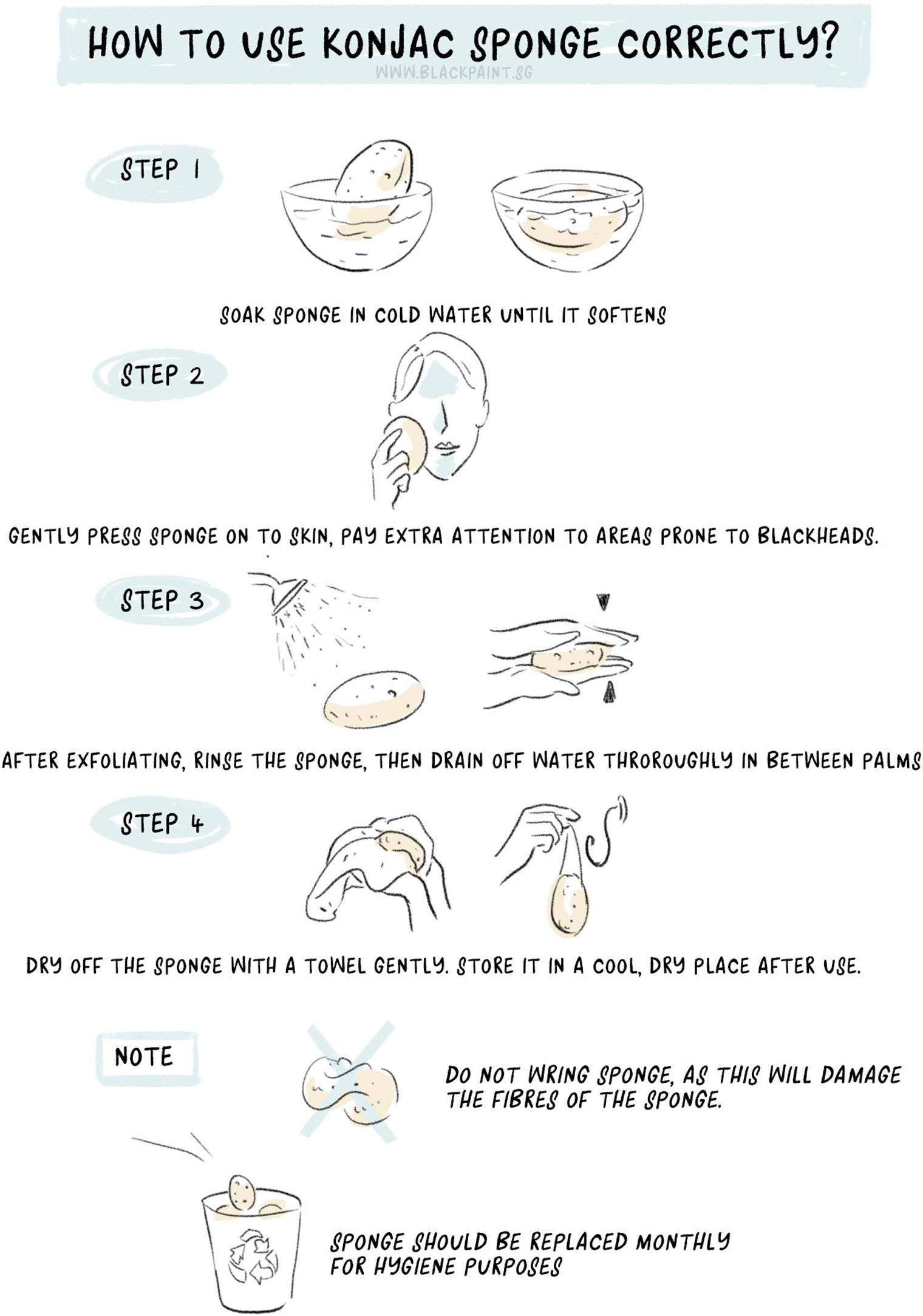 illustration of how to use your konjac sponge correctly with step by step information